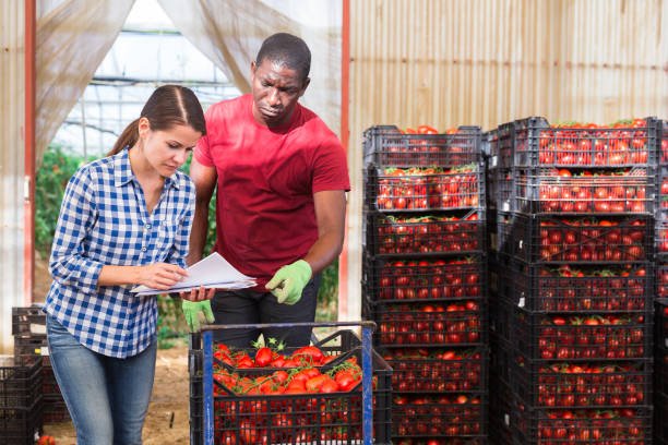 Appui logistique à une coopérative agricole