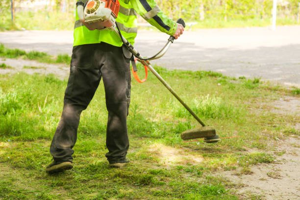 Entretien des espaces verts d'un site professionnel