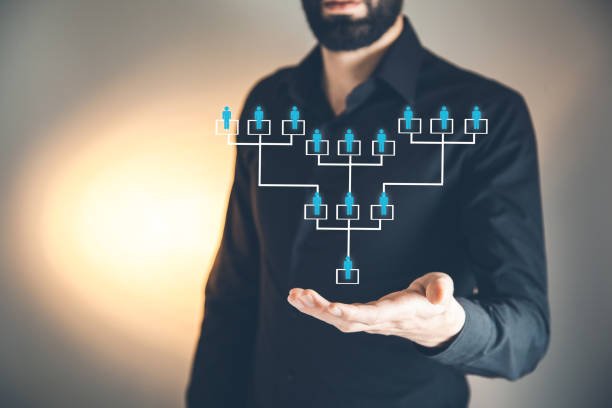 Étude organisationnelle pour une structure cliente